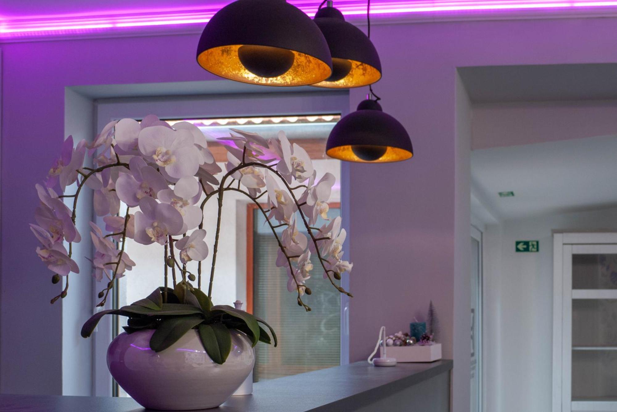 Bornemisza Kuria Wellness Resort Tiszabecs Exteriör bild